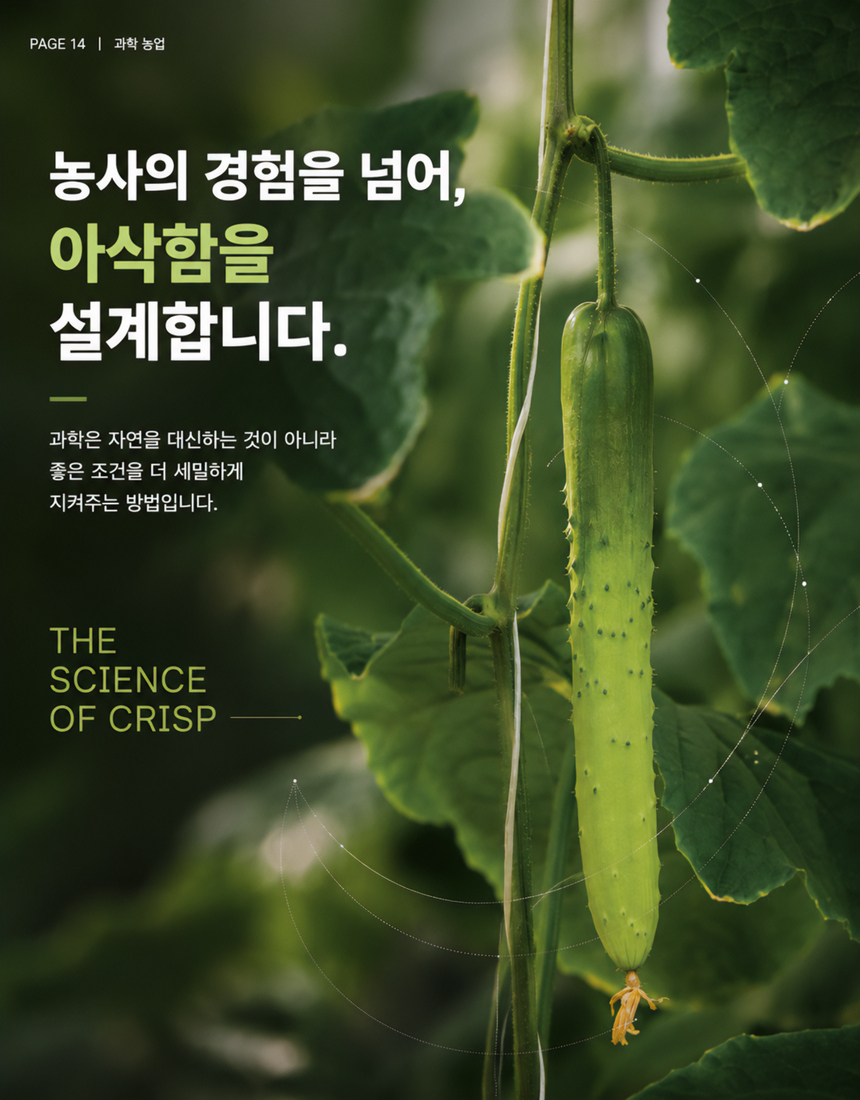 동김제농협 오이2Kg 14.jpg